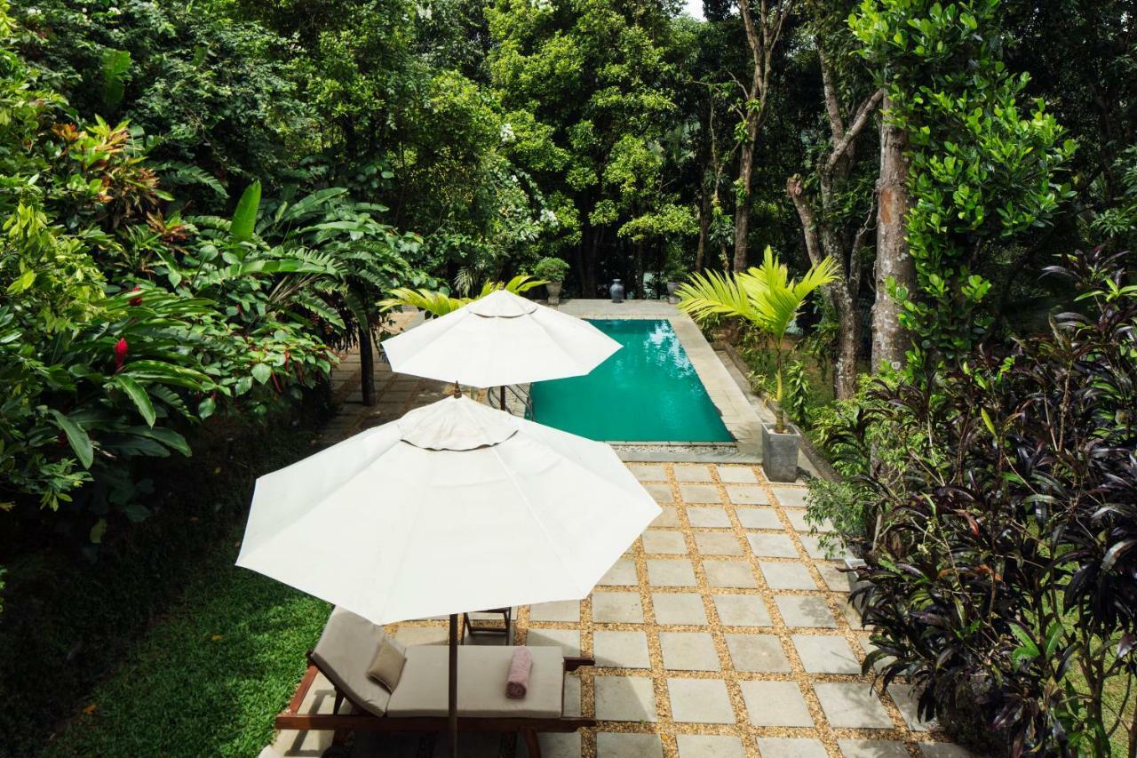 Rosyth Estate House Hotel Kegalle Ngoại thất bức ảnh